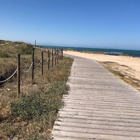 Oasis Beach Dream Holiday Guardamar del Segura Zewnętrze zdjęcie